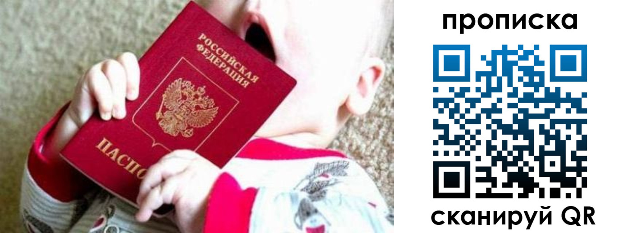прописка законно в Мытищах
